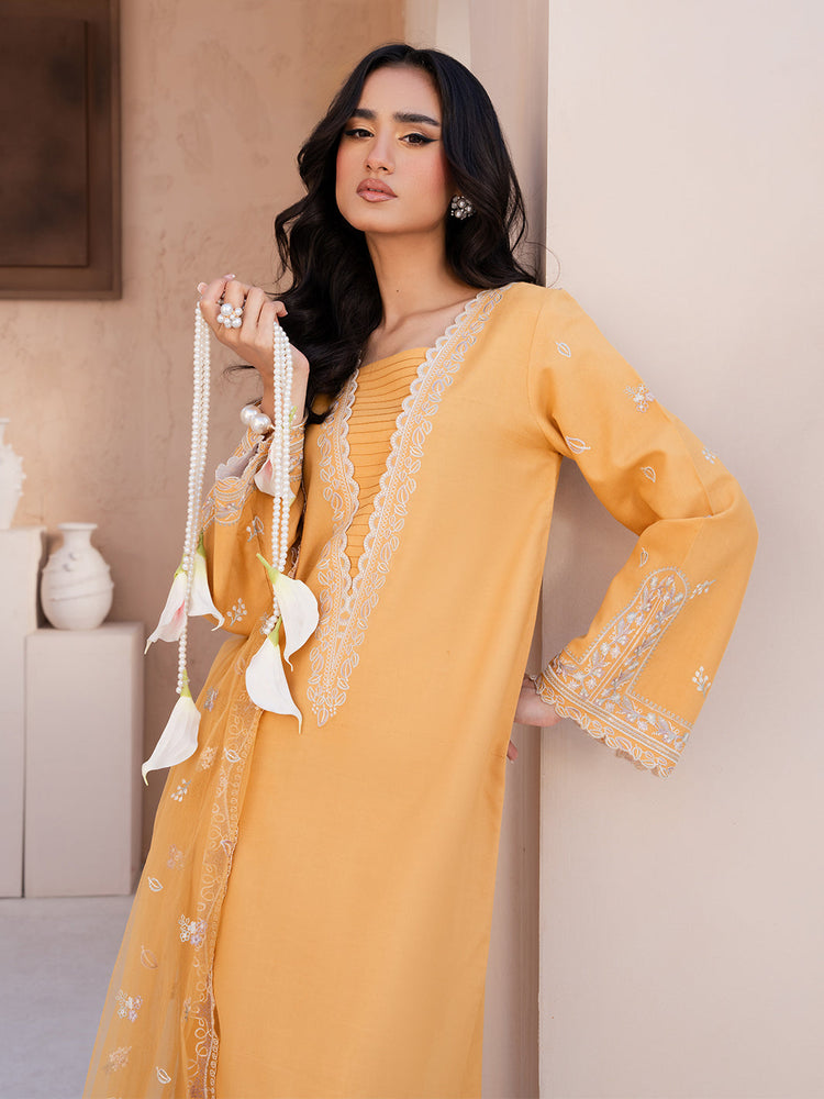 Zarnoor 3 Piece (On Sale)