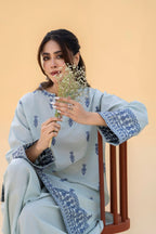 Lina 2Pc (Farshi Shalwar)  - PEZ20