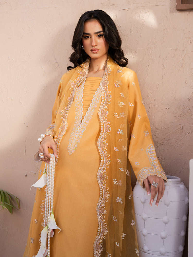 Zarnoor 3 Piece (On Sale)