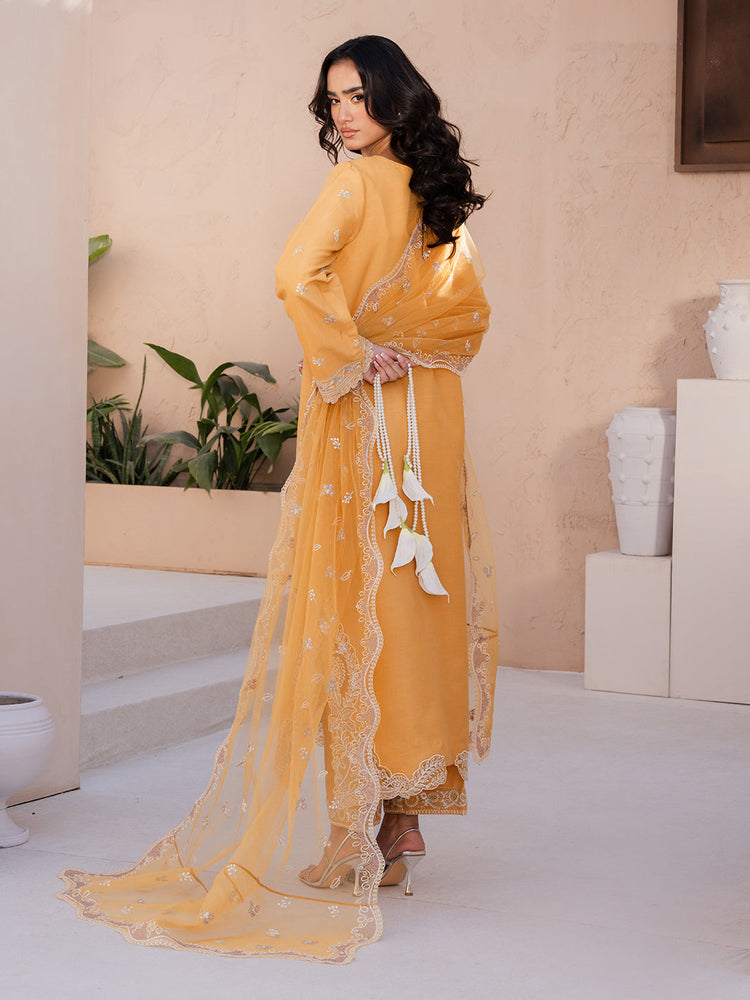 Zarnoor 3 Piece (On Sale)