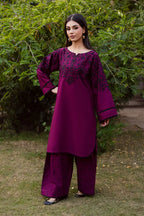 Kashish 2 Piece