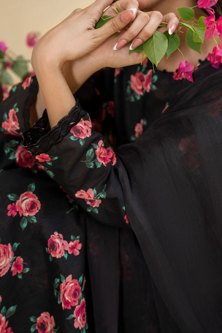 Shabnam (On Sale)